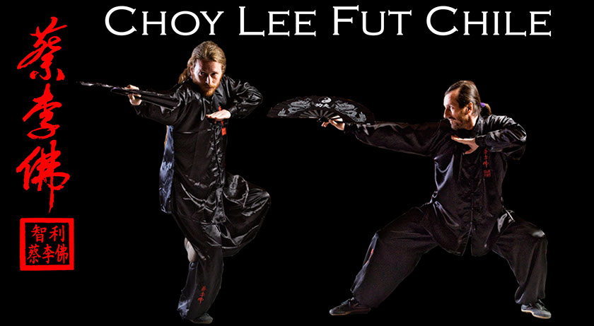 Curso de Kung Fu